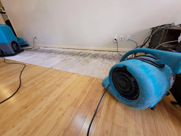 Professional Flood Damage Cleanup technician working in Sharon, SC